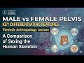 Male vs female pelvis difference forensic medicine human anatomy