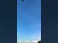 艶歌・女節