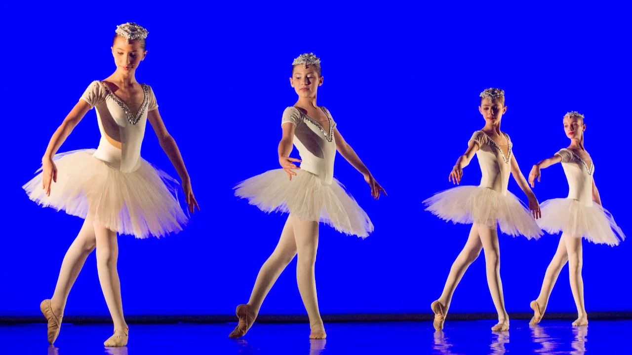 a.s.d.c. Danzarteatro: Danza Classica Padova - Anno Accademico 2018-19