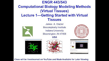 E443/543 Virtual Tissues, Lecture 1, Getting Started with Virtual Tissues, January 9th, 2024
