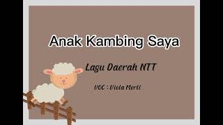 Anak Kambing Saya - Lagu Daerah NTT by Viola Merli