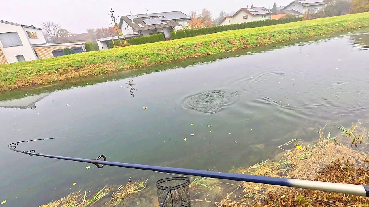 Forellenangeln am Kanal 