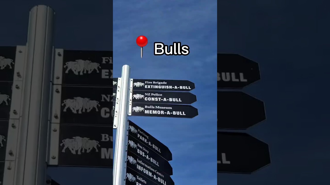 The Most Pun‑aBULL Town in New Zealand