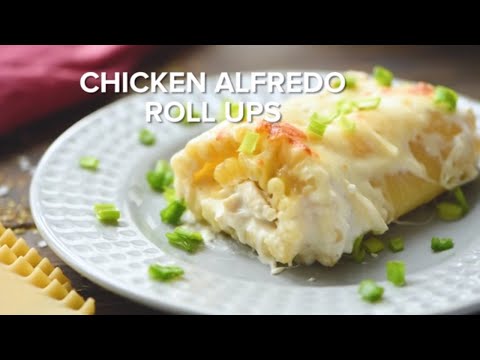 Chicken Alfredo Lasagna Roll Ups