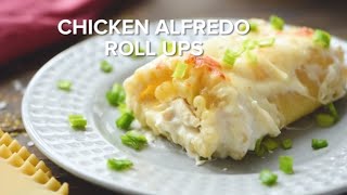 Chicken Alfredo Lasagna Roll Ups