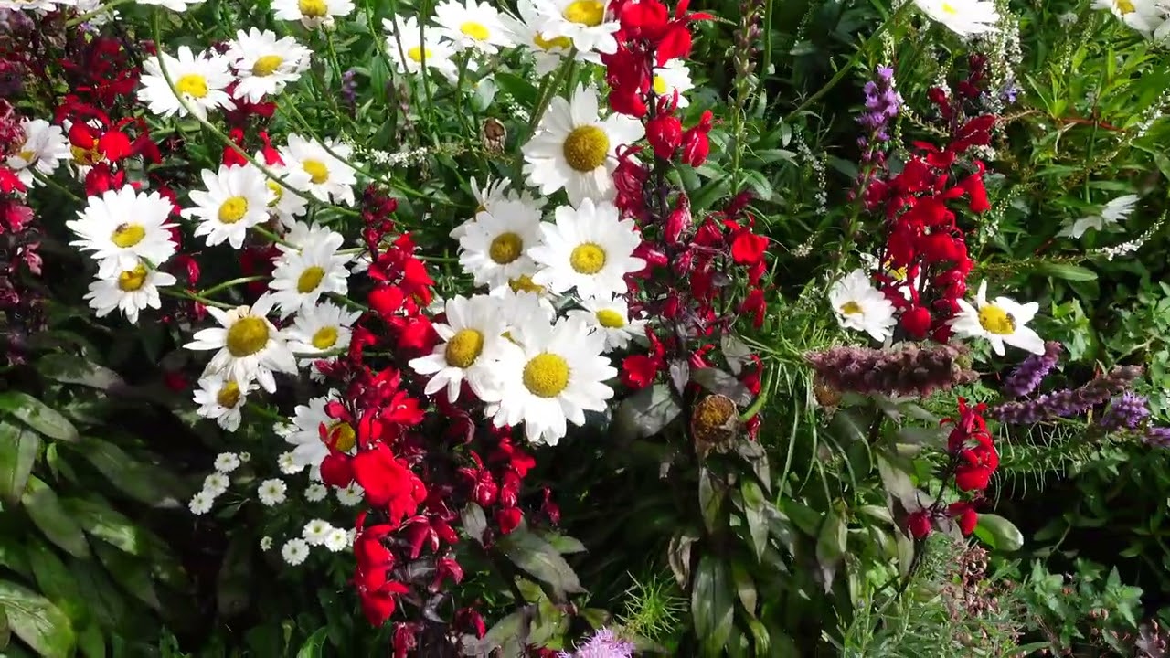 Hagen i September 2024