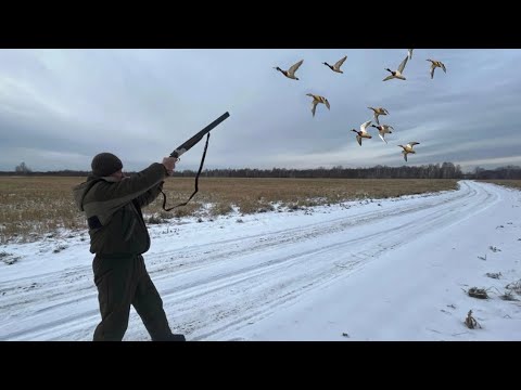 Видео: Охота с Двухстволкой!!! Верные Выстрелы по Горячим Селезням.