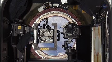 An Intersection of Art and Science on the Space Station