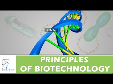 Video: Wat zijn de basisprincipes van biotechnologie?