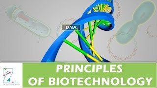 PRINCIPLES OF BIOTECHNOLOGY