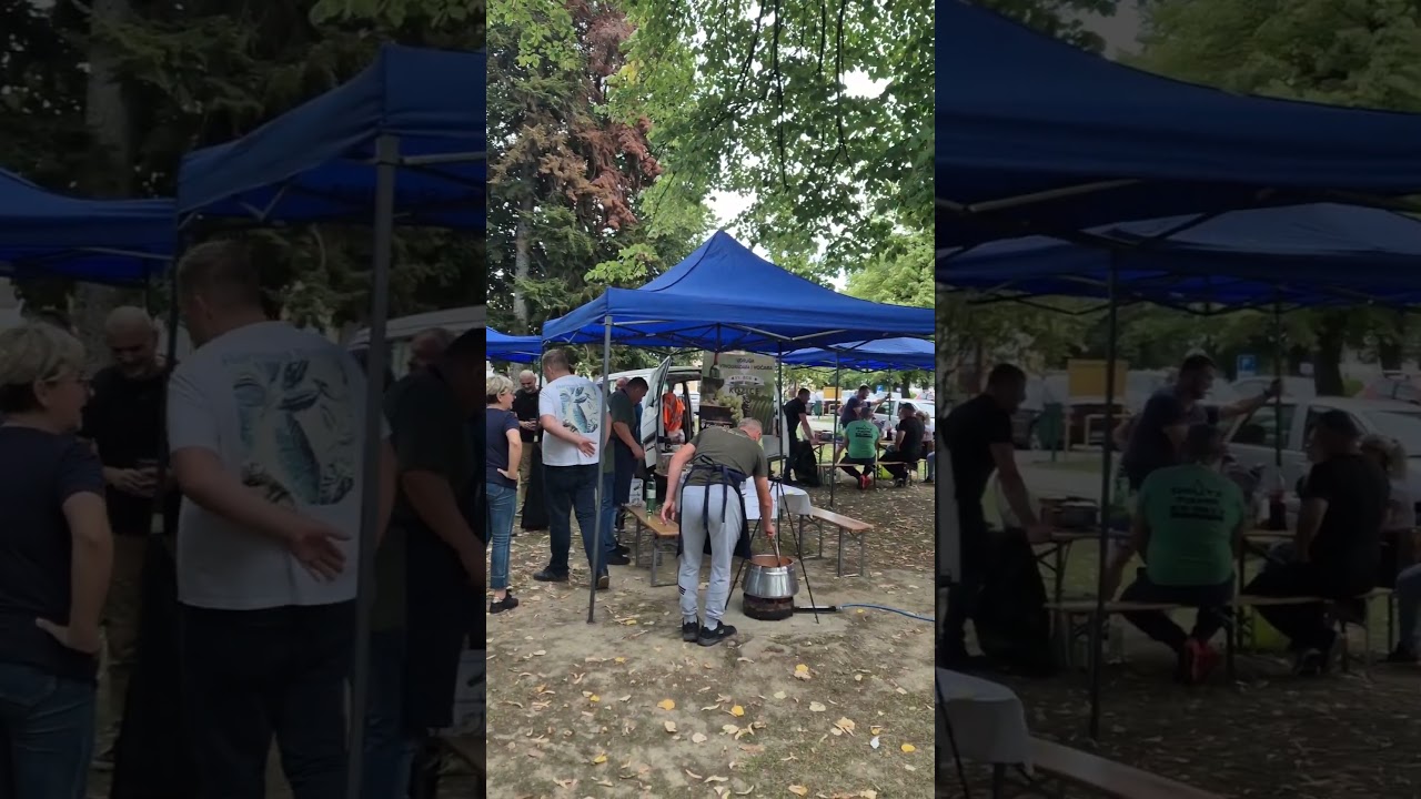 13. Fi&scaron;ijada u Slatini