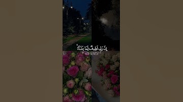 القارئ: محمد هشام