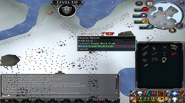 New Rsps “EradicationX” Best Custom Rsps “Intro”