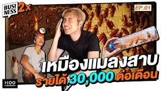 เหมืองแมลงสาบ รายได้เดือนละ 30,000 บาท | Business 2X