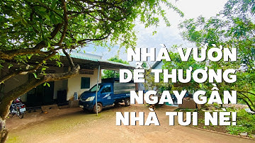 Chỉ vì nợ mà phải đau lòng bán nhà vườn ở BR-VT trồng đủ loại cây trái (ĐÃ BÁN)