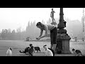 Com'era Firenze negli anni '50: visioni magiche di una città scomparsa