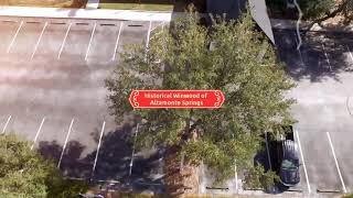 Historical Winwood of Altamonte Springs Florida.