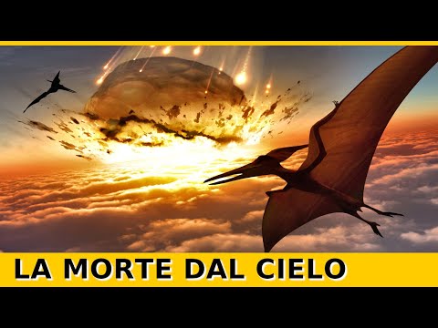 Video: Gli esseri umani sono imparentati con il dimetrodonte?