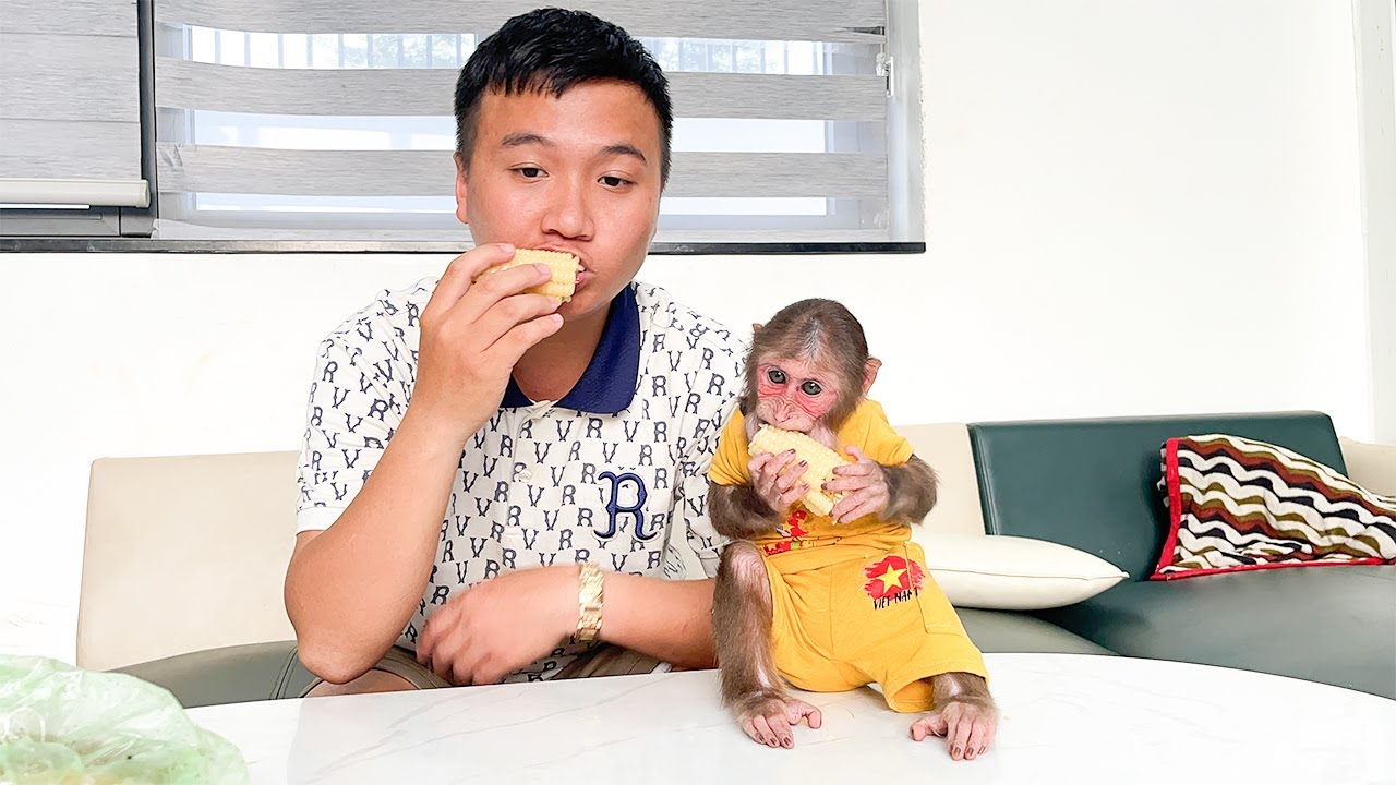 A simple but loving meal between Dad and baby monkey Cubis!