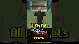 All My Current Pets on OSRS (May 2025) #osrs #gaming #runescape