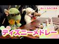【全23曲】ぬいぐるみたちの「ディズニーメドレー」"Disney medley" Teddy bears marimba trio【マリンバ3重奏】