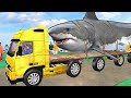 बड़ा मछली ट्रक Giant Fish Truck Funny Hindi Comedy Video .