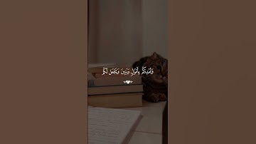 فقلت استغفروا ربكم إنه كان غفارا 🦋 #فارس_عباد #سورة_نوح #قرآن #قران_كريم #اكسبلور