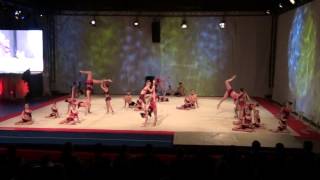 Wildgymshow Dreamzzz 11052014 Groepsoefening Acro