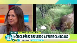 Registro inédito Felipe Camiroaga: Asistió parto de una yegua. Recuerdo Canal 13.