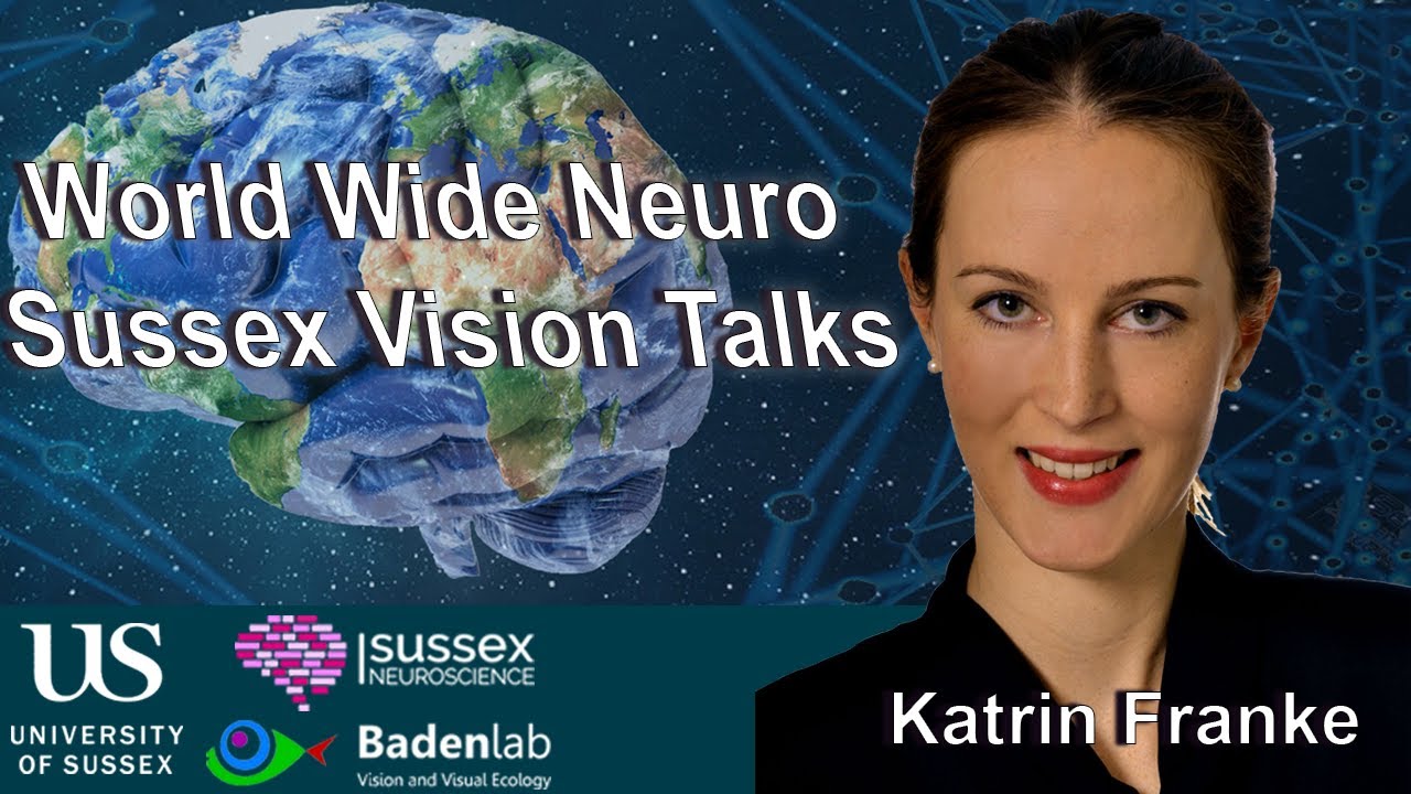 World Wide Neuro | Sussex Vision Series - 07/07/2020 - Katrin Franke