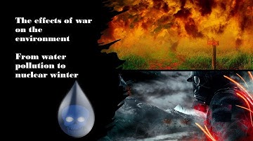 The effects of war on the environment: From water pollution to nuclear Winter