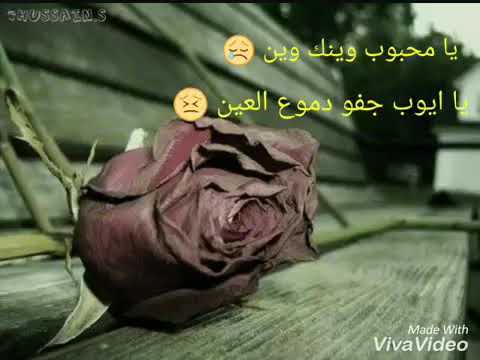 يامحبوب وينك وين