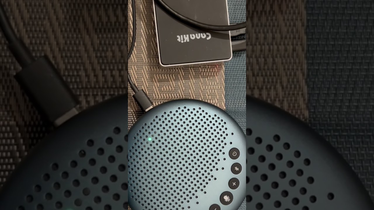 Voice-Enabled Chatbot on Raspberry Pi