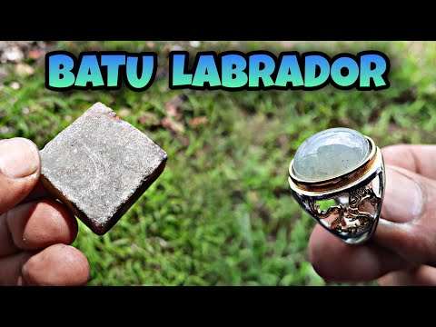 Gospol Batu Labrador