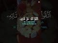 يا أيها الذين آمنوا اتقوا الله حق تقاته ❤️ تلاوة روحانية جميلة ورائعة ❤️ #قران_كريم