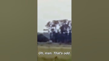 Shapeshifting Creature CAUGHT On Camera | Paranormal Caught on Camera | Travel Channel