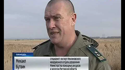 В Азовском районе бьют тревогу: шакалы душат птиц и нападают на людей