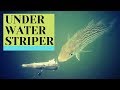 Underwater fishing olymbros camera