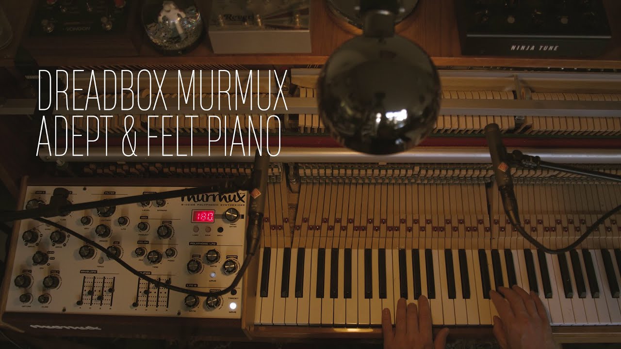 Dreadbox Murmux Adept #2 | Winterdagen