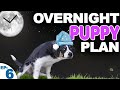 Puppy Potty Training At Night WITHOUT Setting An Alarm - Bringing Home A New Puppy Episode 6