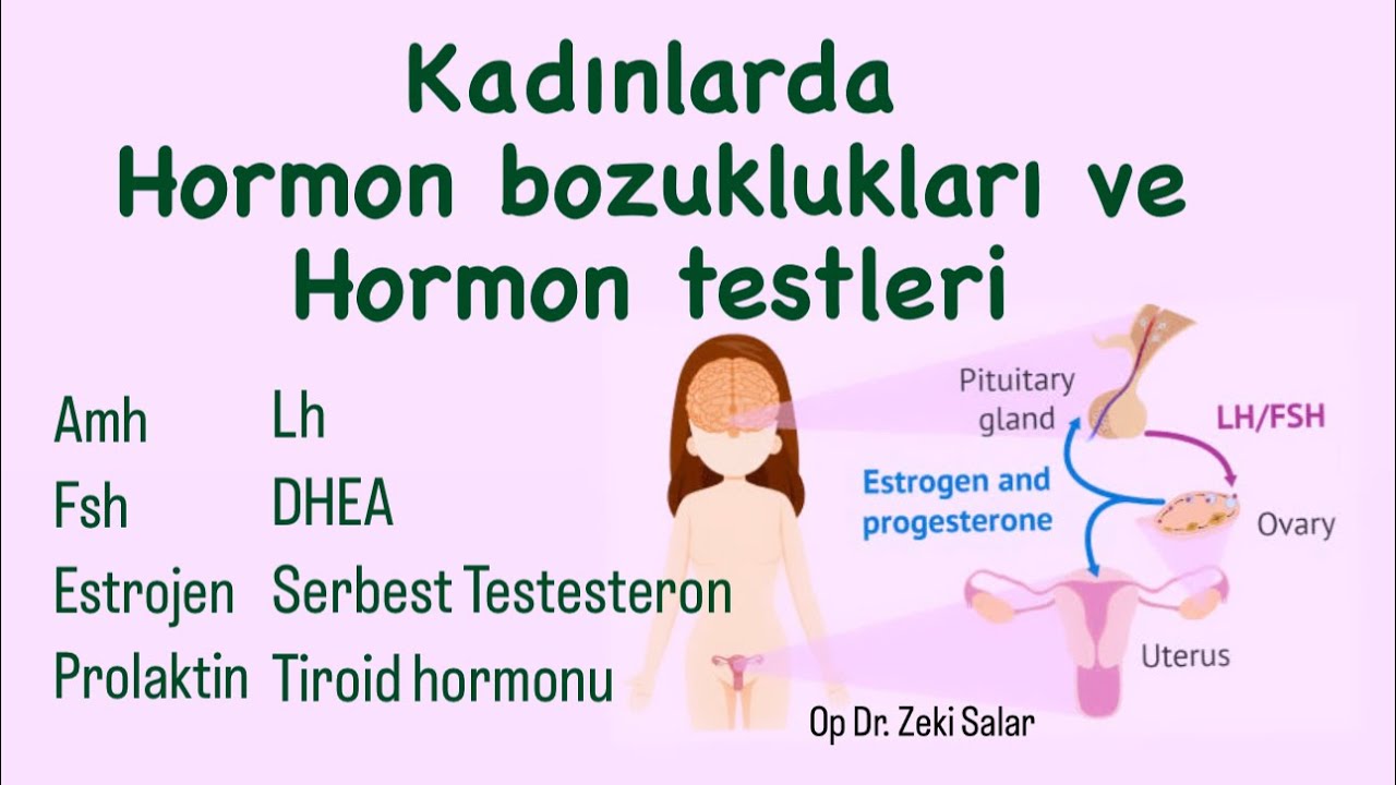 Kadınlarda Hormon Testleri ne zaman, nasıl ve ne için yapılır?/ Kadın Hormonlarının normal değerleri