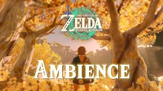 Zelda Ambience  Great Sky Island  Original Sounds