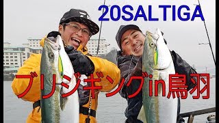 【#ジギング 】20SALTIGA「巨ブリを狙う！鳥羽湾内ジギング～ジャーク忠丸」