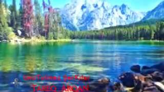 Unutulmaz Şarkılar 1 / Serdar Ortac - Bilsem Ki