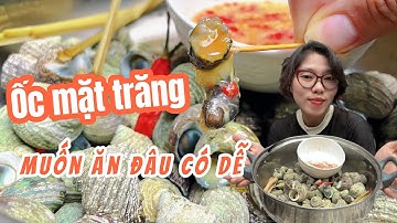 Mukbang hết 1 ký ốc mặt trăng xong muốn cọc ngang