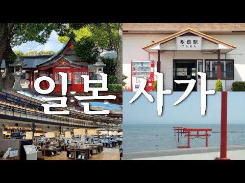 나혼자 4박5일 일본 사가여행 | 사람없고 조용하고 평화로운 일본 소도시 여행 | 다케오신사•녹나무•도서관,사가신사•성터,다라해중도리이