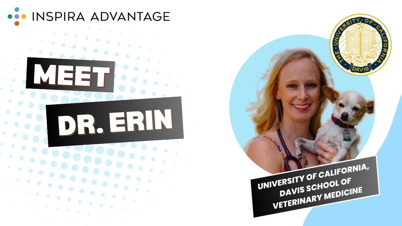 Meet Dr. Erin Bellevill, Vet School Admissions Consultant at Inspira Advantage