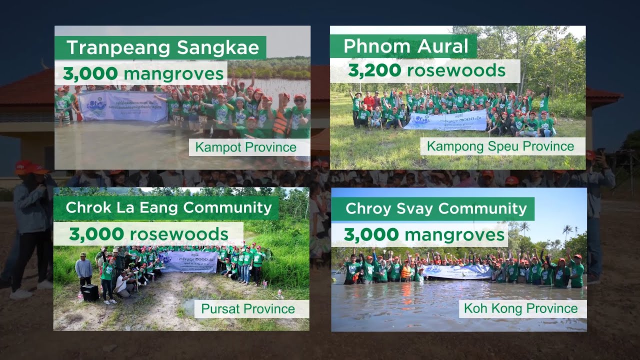 Chip Mong Planted 12,200 Trees in 2019 - YouTube
