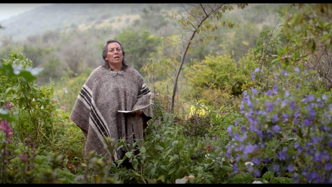 Canto a lo Divino - Señora Inés Órdenes, Valle del Pupío - YouTube