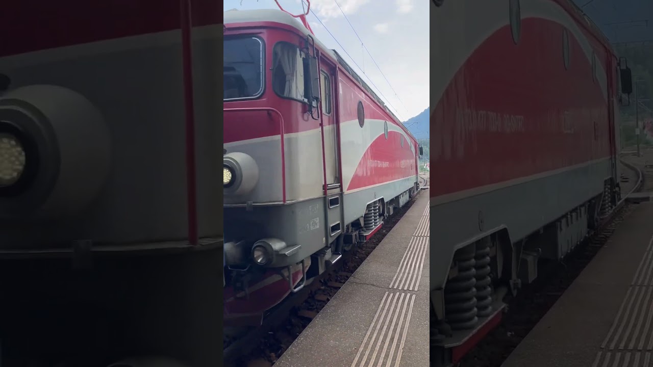 IR 1730 DELFIN 477-703-9 Depoul Brașov 